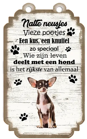 Chihuahua Kortharig Bruin