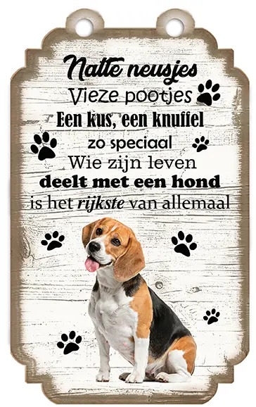 Beagle