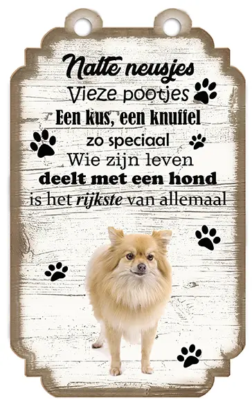 Keeshond