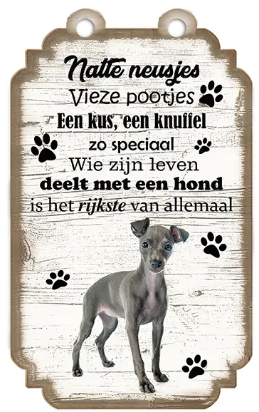 Greyhound