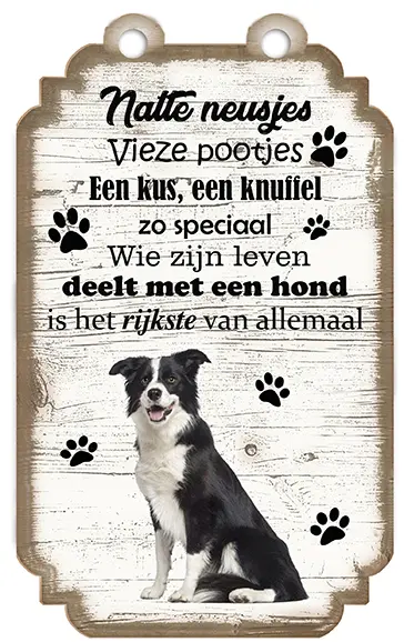 Border Collie