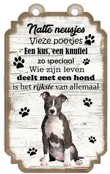 American Staffordshire Terrier