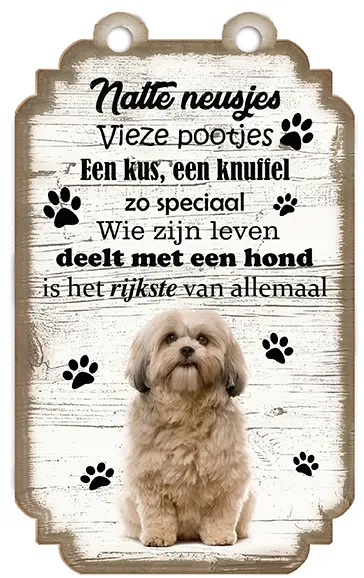 Shih Tzu