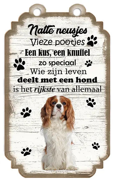 King Charles