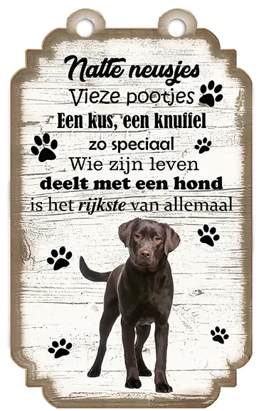 Labrador Bruin