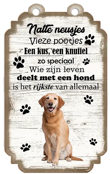 Labrador Blond