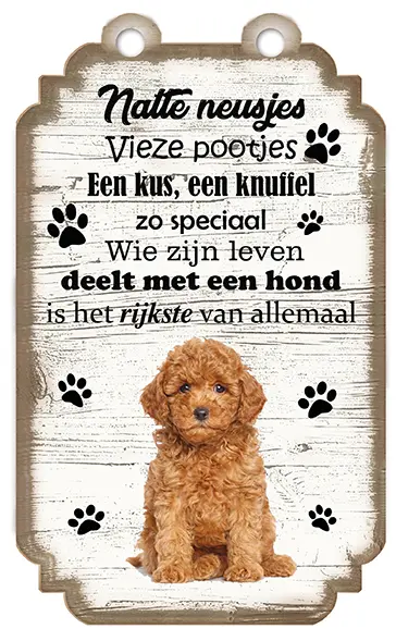 Poedel Bruin