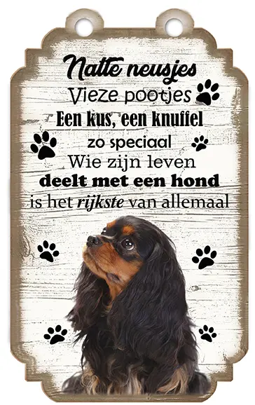 King Charles Black & Tan