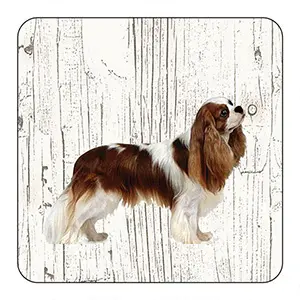 Onderlegger - King Charles