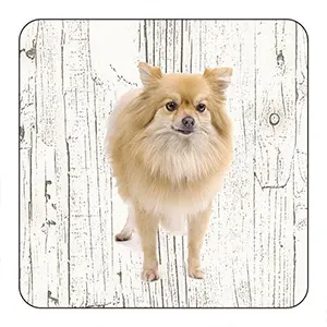 Onderlegger - Keeshond