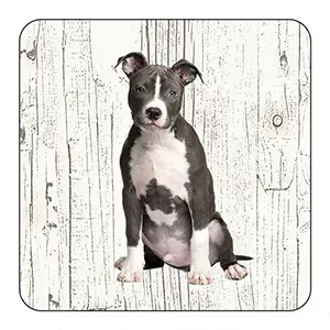 Onderlegger - American staffordshire terriër