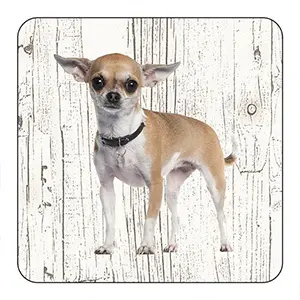 Onderlegger - Chihuahua kort haar