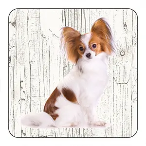 Onderlegger - Vlinderhond