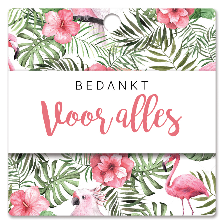 Bedankt voor alles
