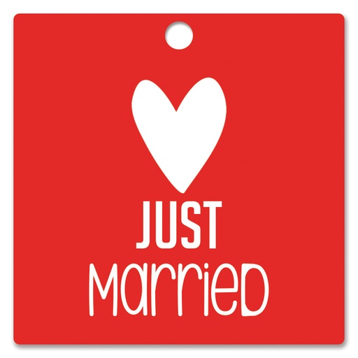 [HBK-111] Just Married