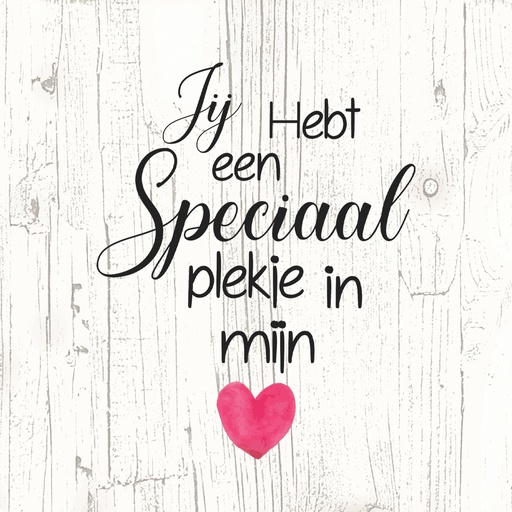 [OND-P-145] Onderzetters Speciaal plekje