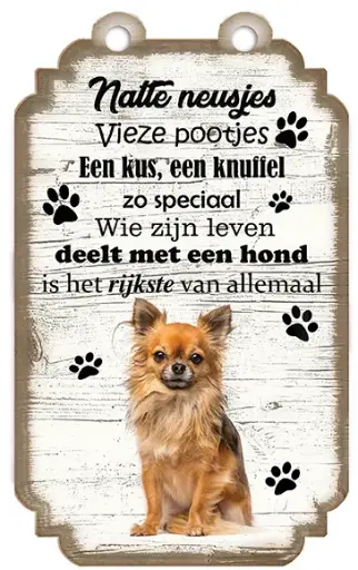 [VHB-001] Chihuahua Langharig Blond