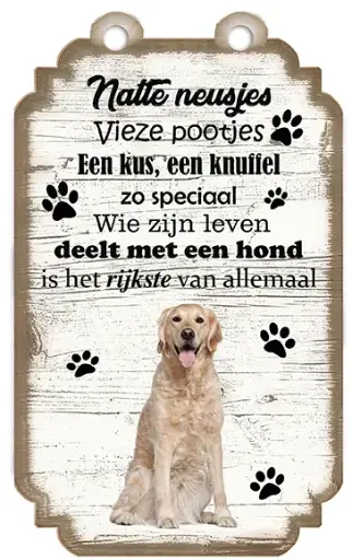[VHB-011] Golden Retriever
