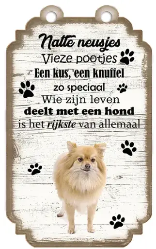 [VHB-012] Keeshond