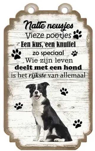 [VHB-016] Border Collie