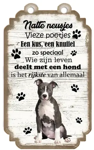 [VHB-019] American Staffordshire Terrier