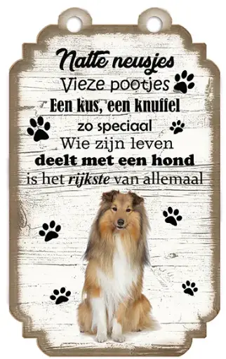 [VHB-020] Shetland Sheepdog
