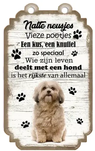 [VHB-022] Shih Tzu
