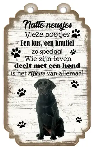 [VHB-029] Labrador Zwart