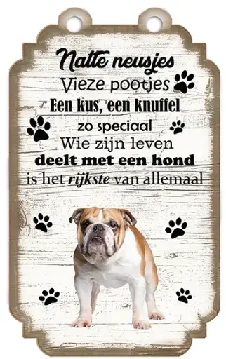 [VHB-047] Engelse Bulldog