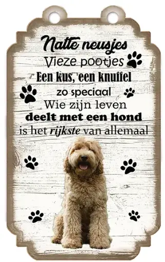 [VHB-049] Australische Labradoodle