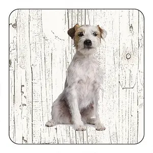 [OND017] Onderlegger - Jack Russel Ruwharig