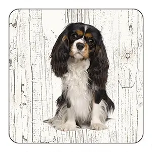 [OND030] Onderlegger - King Charles