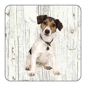 [OND039] Onderlegger - Jack Russel