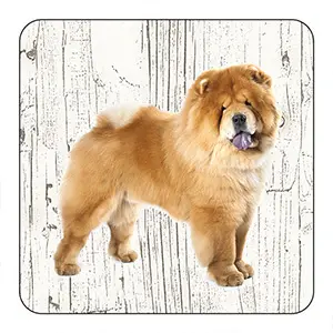 [OND045] Onderlegger - Chow Chow