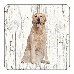 [OND061] Onderlegger - Golden Retriever