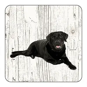[OND066] Onderlegger - Labrador zwart
