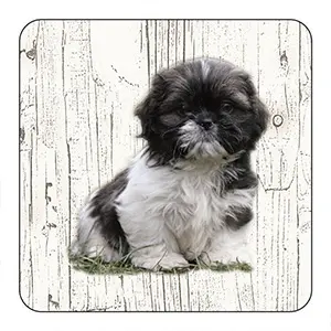 [OND071] Onderlegger - Shih Tzu