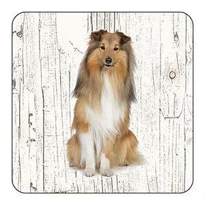 [OND088] Onderlegger - Shetland Scheepdog (Sheltie)
