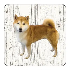 [OND156] Onderlegger - Shiba