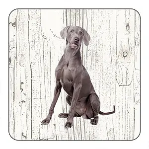 [OND210] Onderlegger - Weimaraner