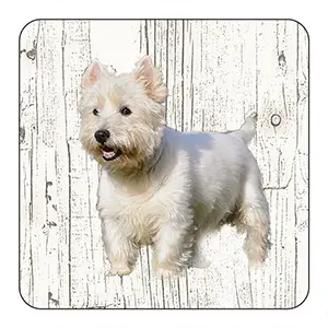 [OND211] Onderlegger - West Highland White Terriër