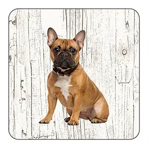 [OND231] Onderlegger - Bulldog