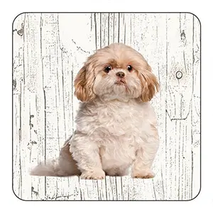 [OND237] Onderlegger - Shih Tzu