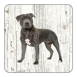 [OND240] Onderlegger - Engelse Staffordshire Bull Terriër