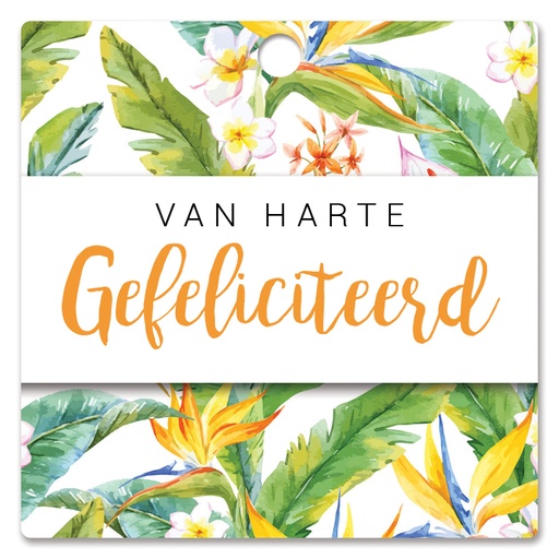 [HBK-201] Van harte gefeliciteerd!