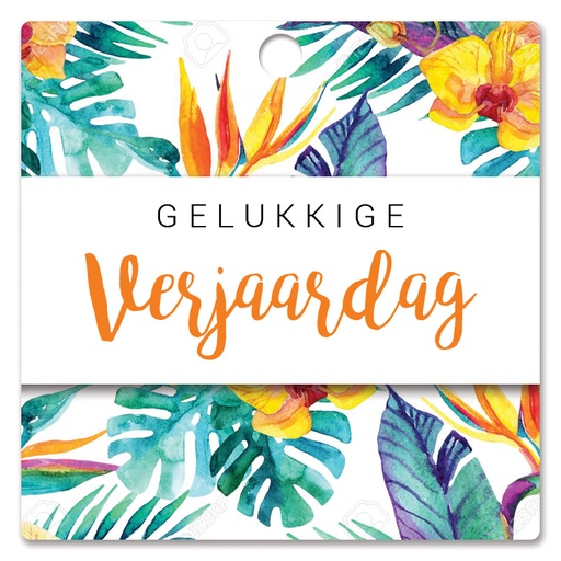 [HBK-202] Gelukkige verjaardag!