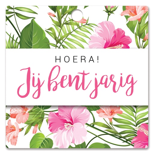 [HBK-203] Hoera! Jij bent jarig