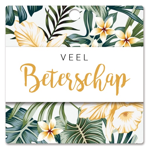 [HBK-208] Veel beterschap