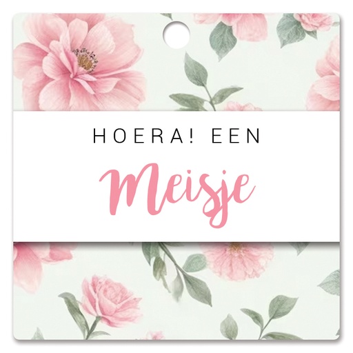 [HBK-210] Hoera! Een meisje