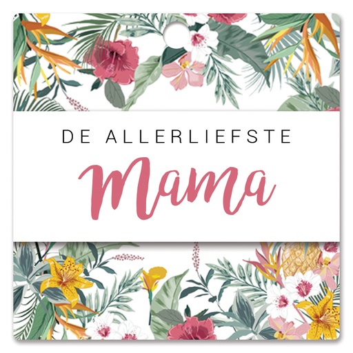 [HBK-213] De allerliefste mama